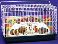 Small Animal Take Me Home
