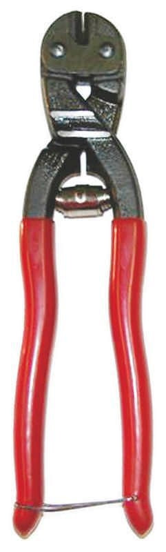 TH312869.jpg