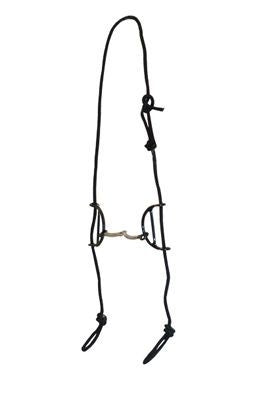 TH339530.jpg