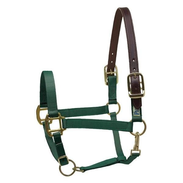 Perris Ribbon Safety Halter Cob Purple/LLama