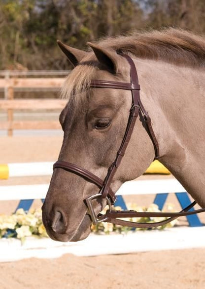 HDR Club Plain Raised Snaffle Bridle
