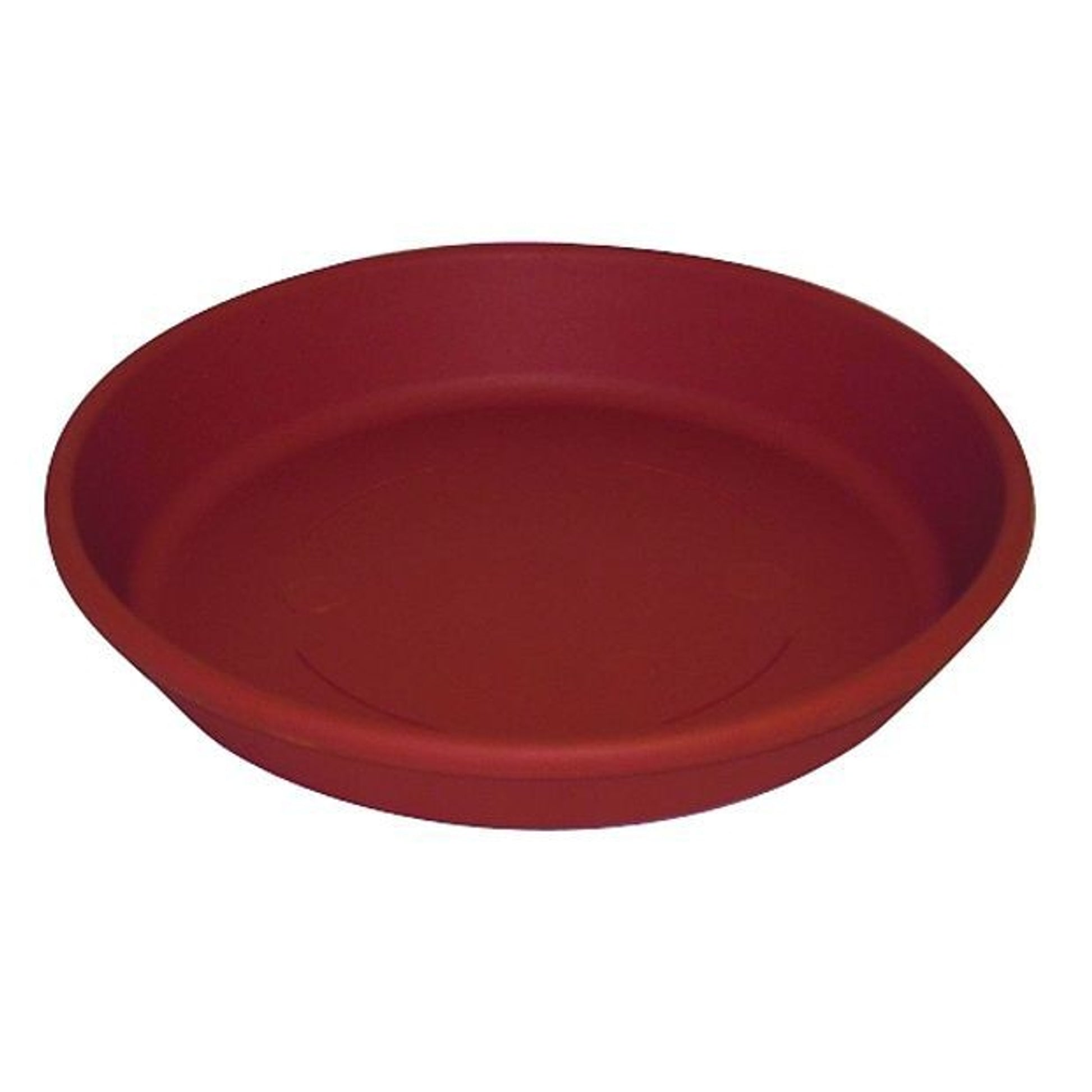 Classic Saucer 8 Inch Tan