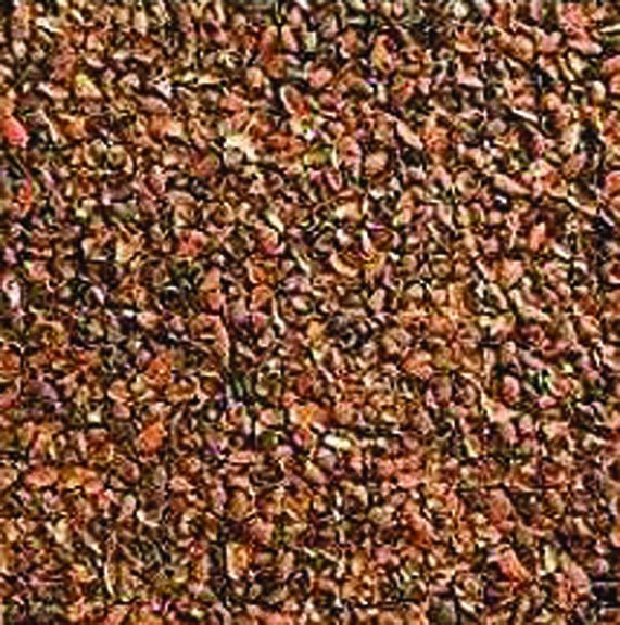 Cocoa Shell Mulch 2 Cu. Ft.
