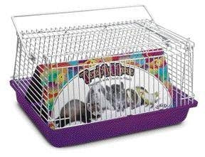 Take Me Home Carrier Medium