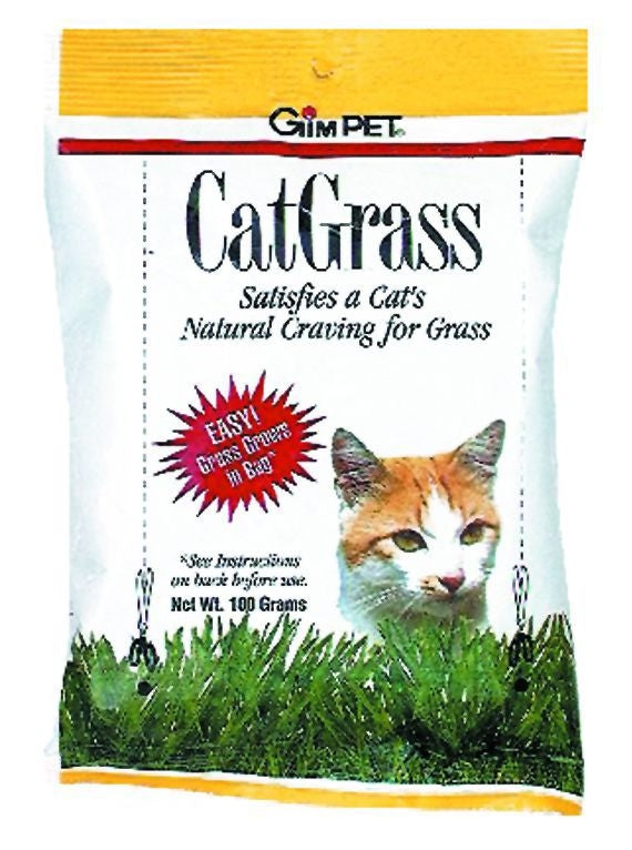 Cat Grass 100 Gram