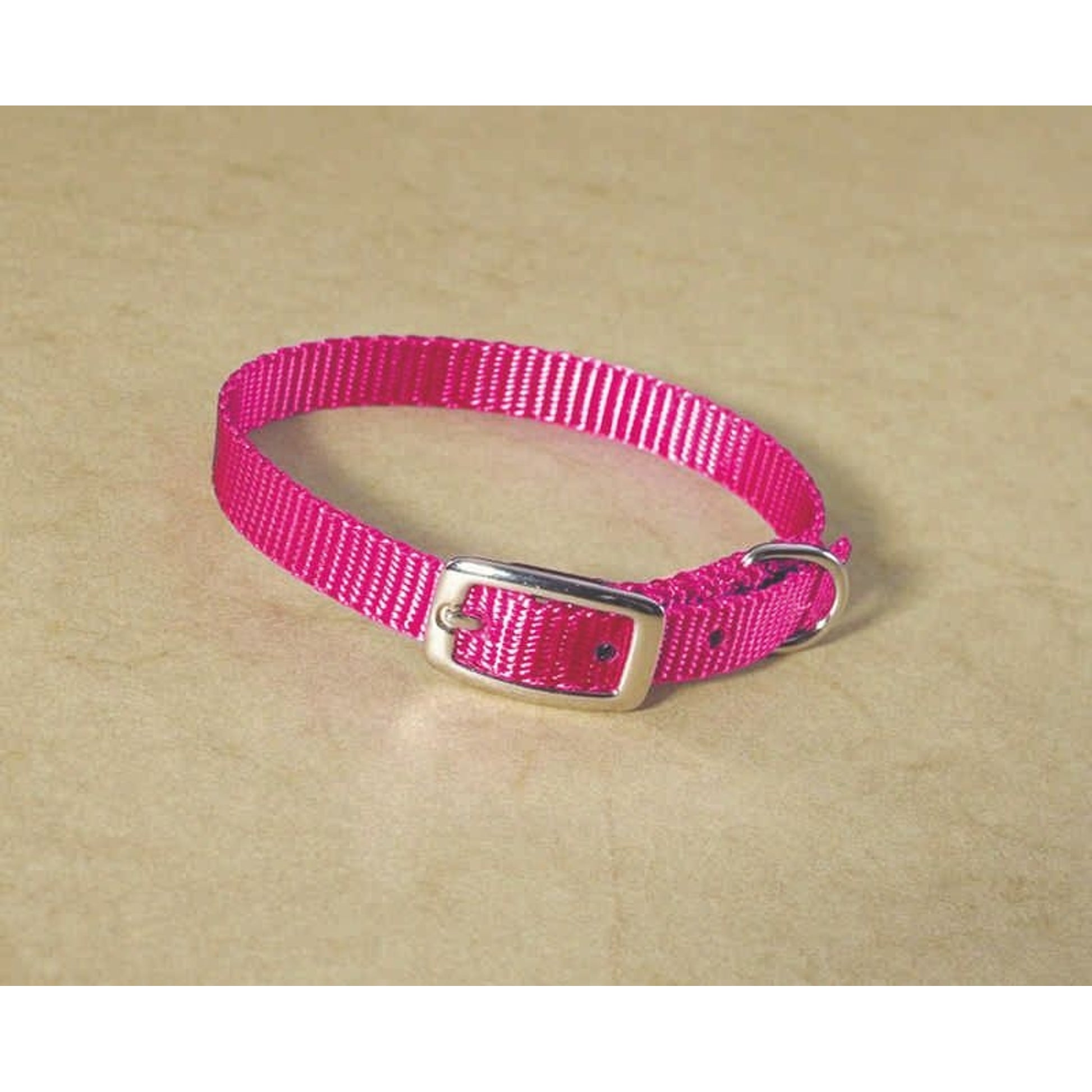 Hamilton Deluxe 3/8 Nylon Dog Collar 12 Hpk
