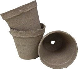 TH407153.jpg