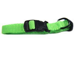 Hamilton Adjustable Dog Collar