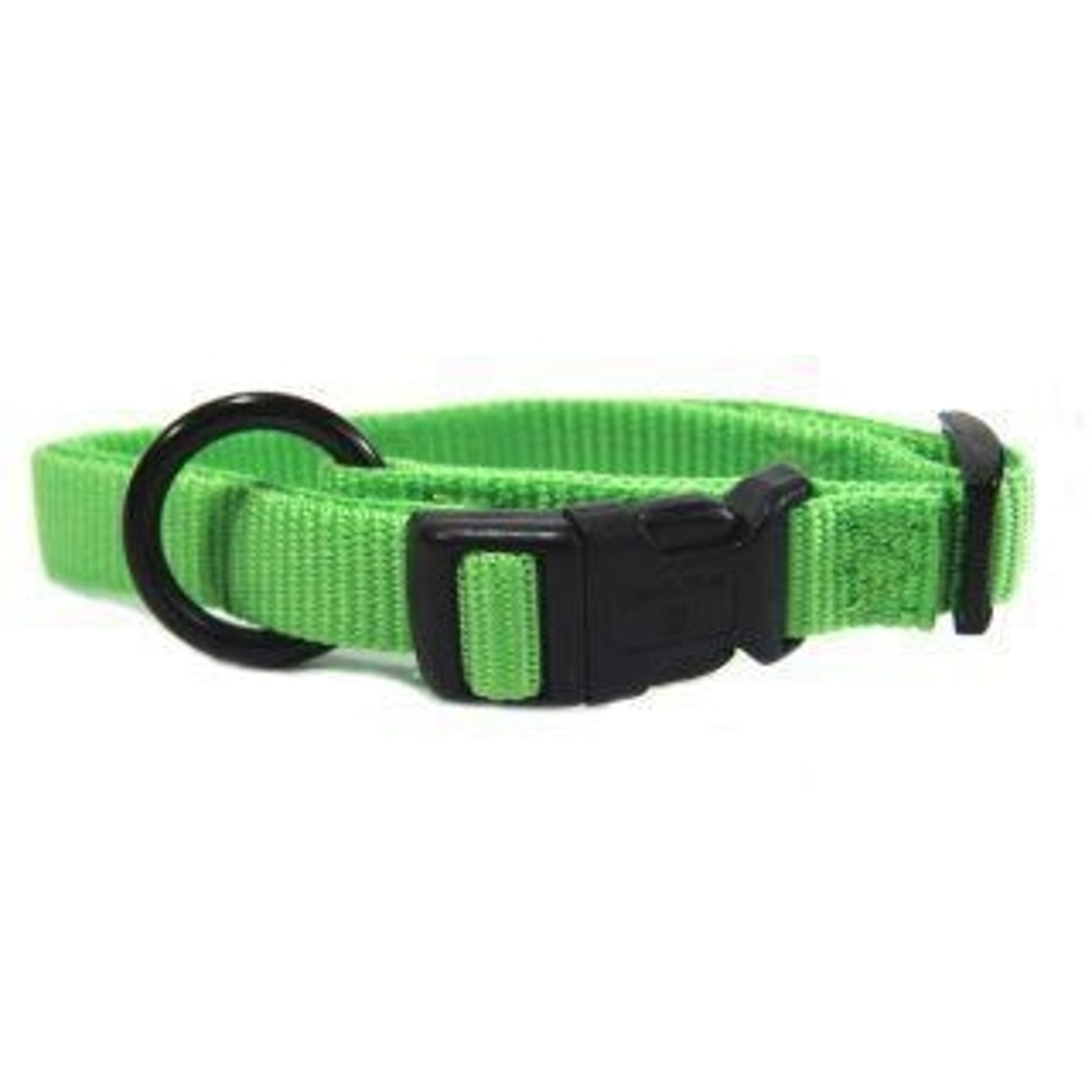 Hamilton Adjustable Dog Collar