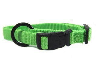 Hamilton Adjustable Dog Collar