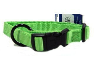 Hamilton Adjustable Dog Collar