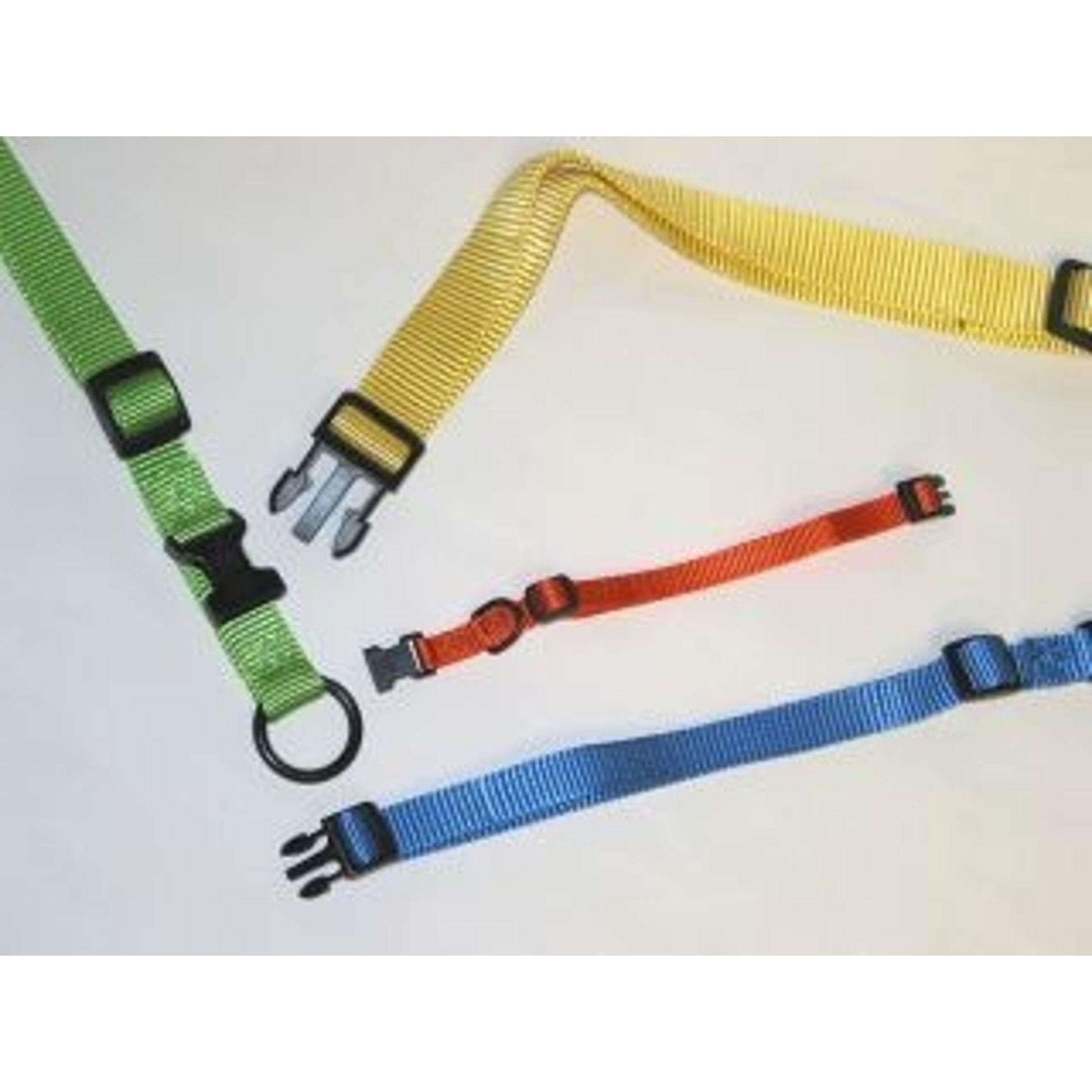 Hamilton Adjustable Dog Collar