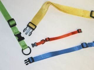 Hamilton Adjustable Dog Collar