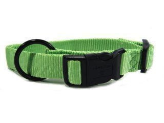 Hamilton Adjustable Dog Collar