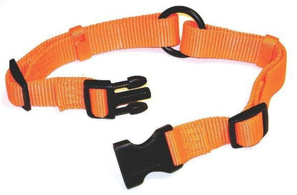 Hamilton Adjustable Dog Collar