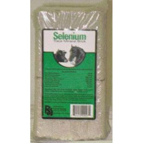 Selenium Mineral Brick 4lb