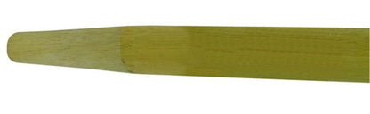 TH408554.jpg
