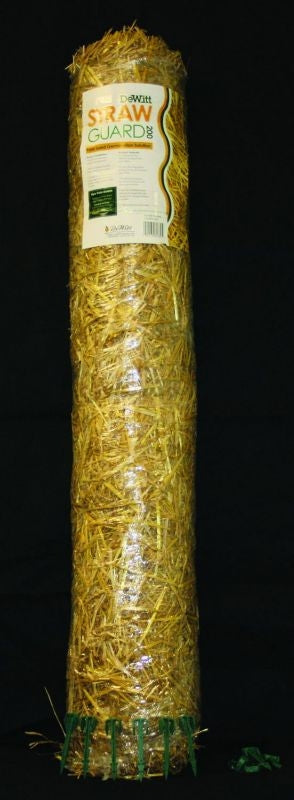 TH408694.jpg