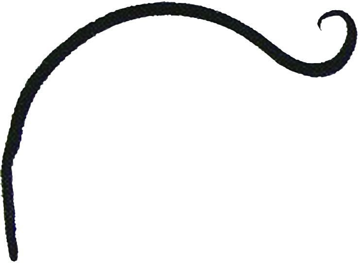Hookery Curved Hanger Upturn Hook 9in Black