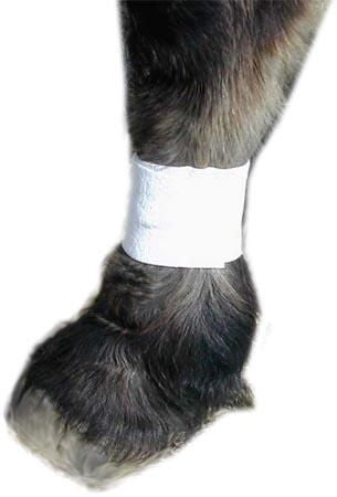 Tapeless Lower Leg Dressing Holder