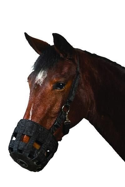 Roma Grazing Muzzle