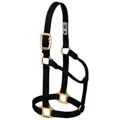 Weaver Org 3/4in Nylon Halter