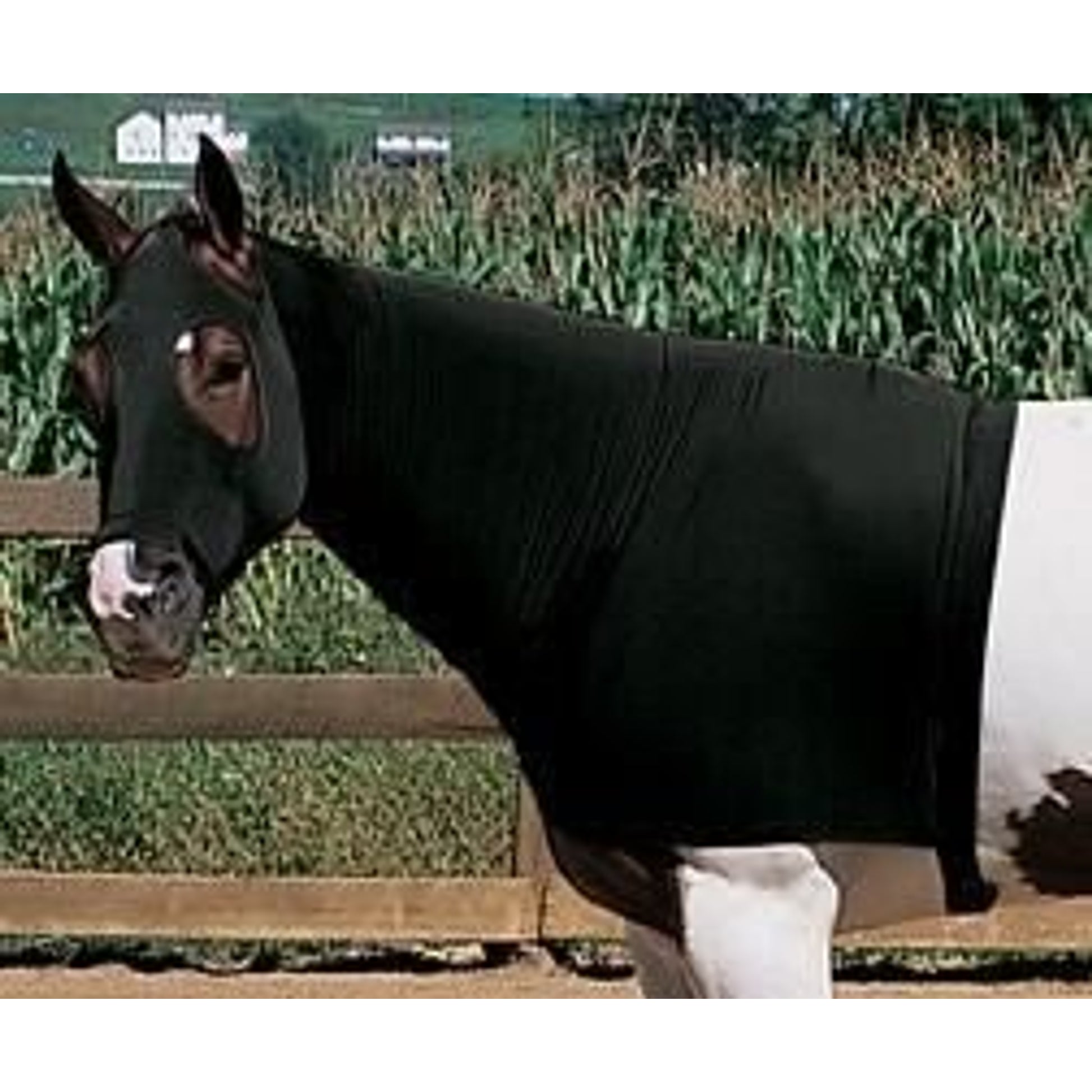 Weaver EquiSkinz Lycra Hood