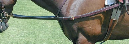 TH480104.jpg