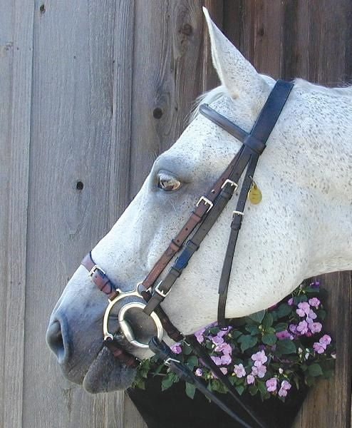 Nunn Finer Adj Lever Noseband Horse Blk/Zinc