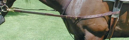 TH480518.jpg