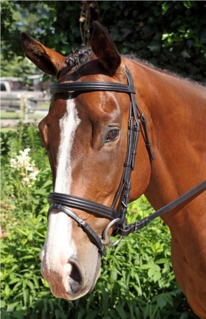 Nunn Finer Gifted Bridle Oversize Black