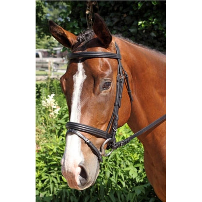 Nunn Finer Gifted Bridle Oversize Black