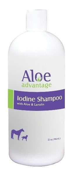 Aloe Iodine Shampoo 32oz