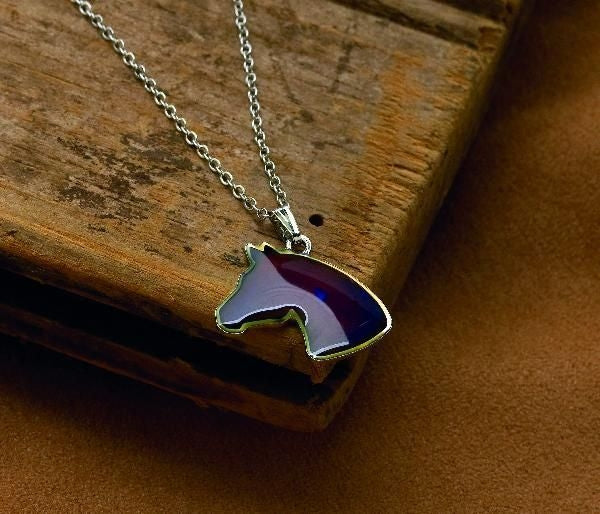 Mood Necklace Steel