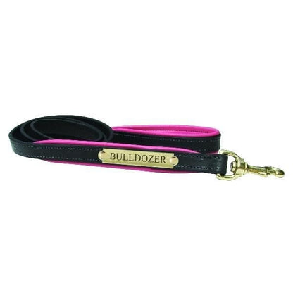 Perris Padded Leather Dog Leash