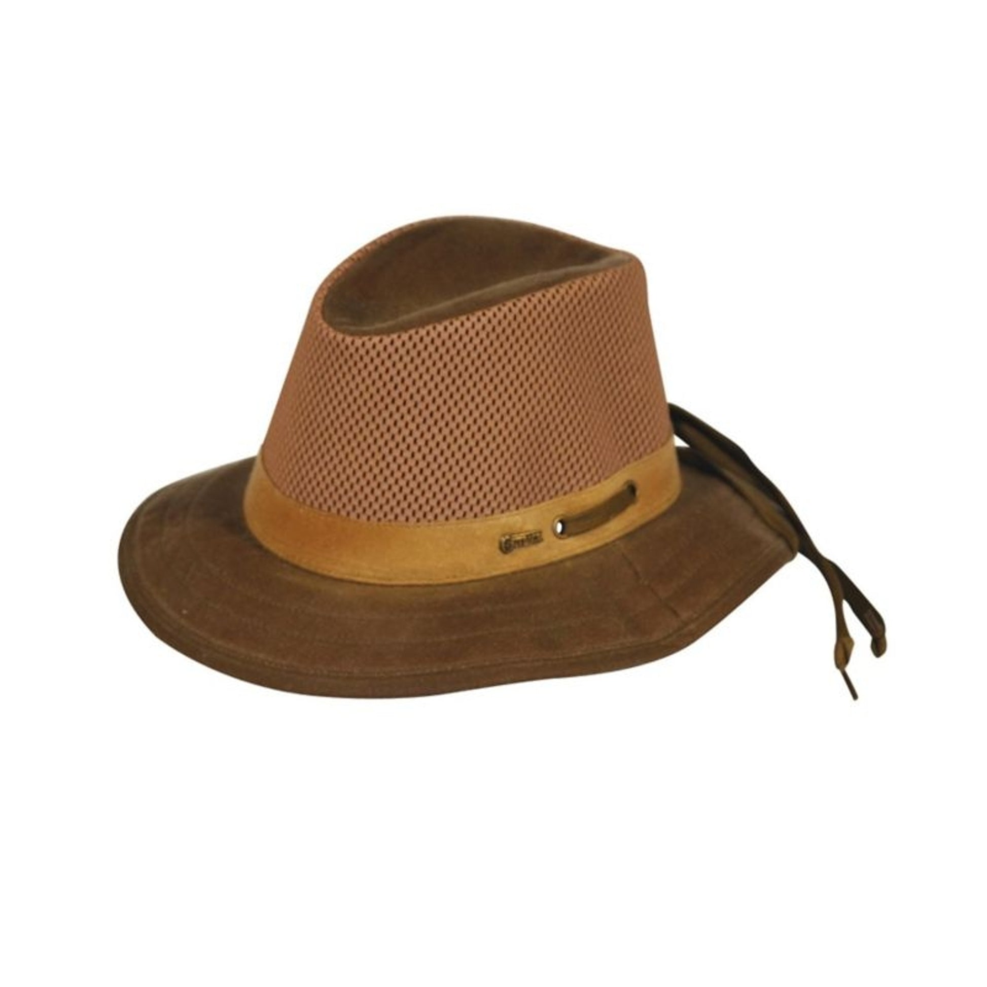 TH625826.jpg