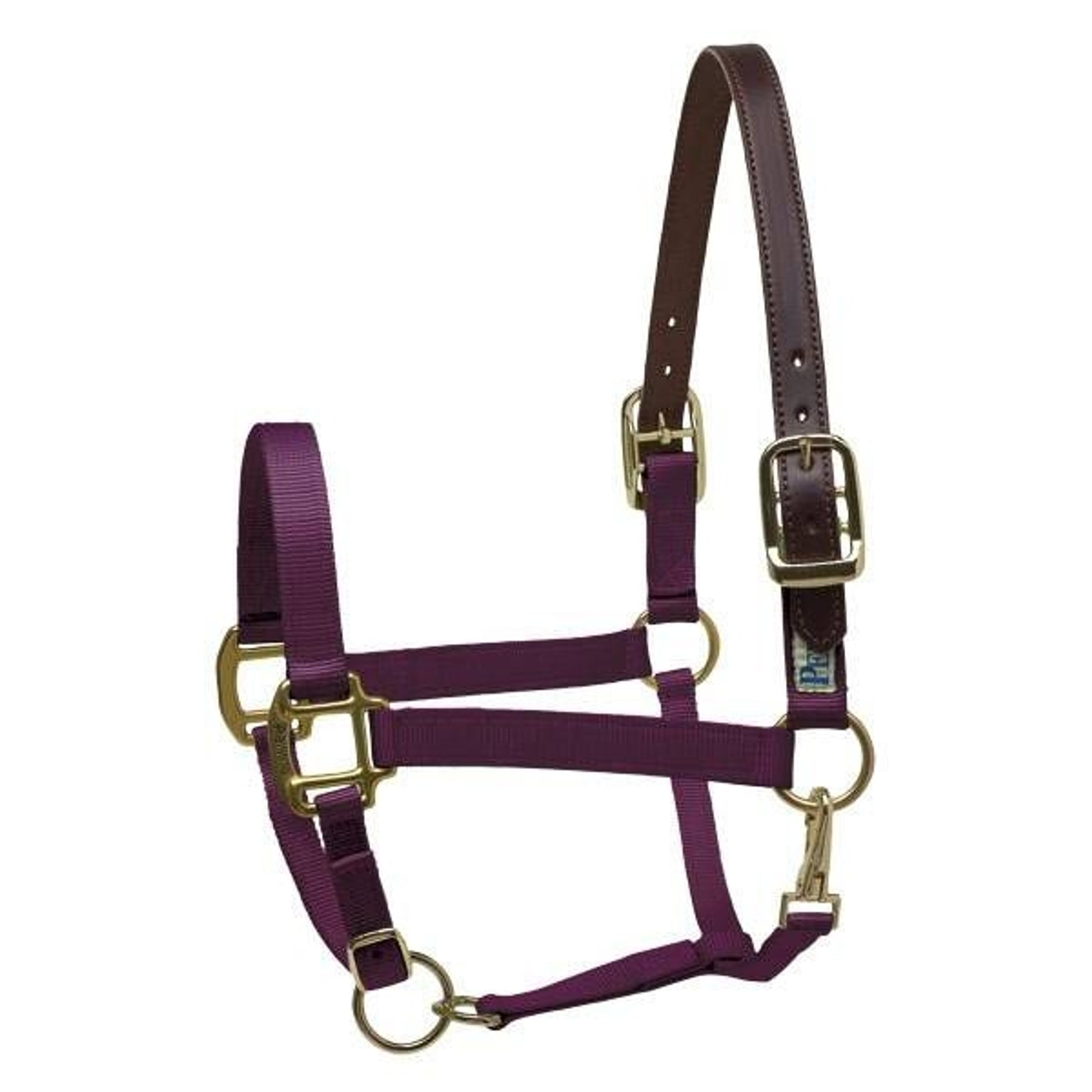 Perris Western Croc Design Halter O/S Havana
