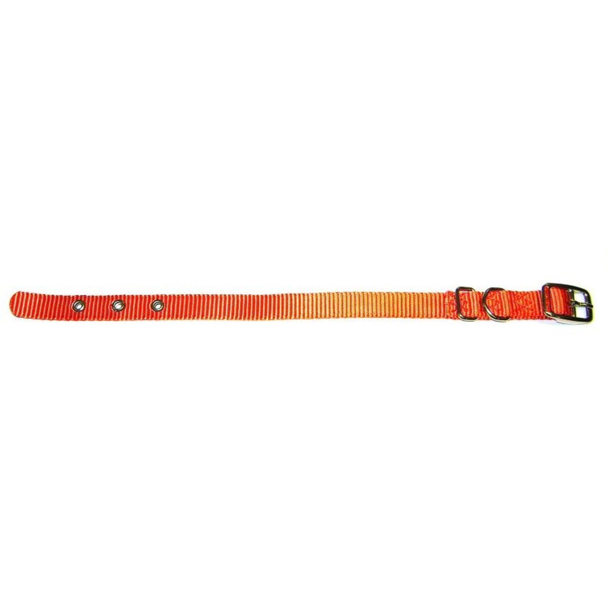 Hamilton Nylon Deluxe Dog Collar 5/8x14 Mango