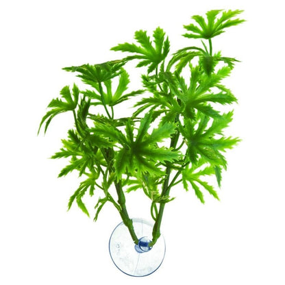 ZooMed Betta Papaya Plant