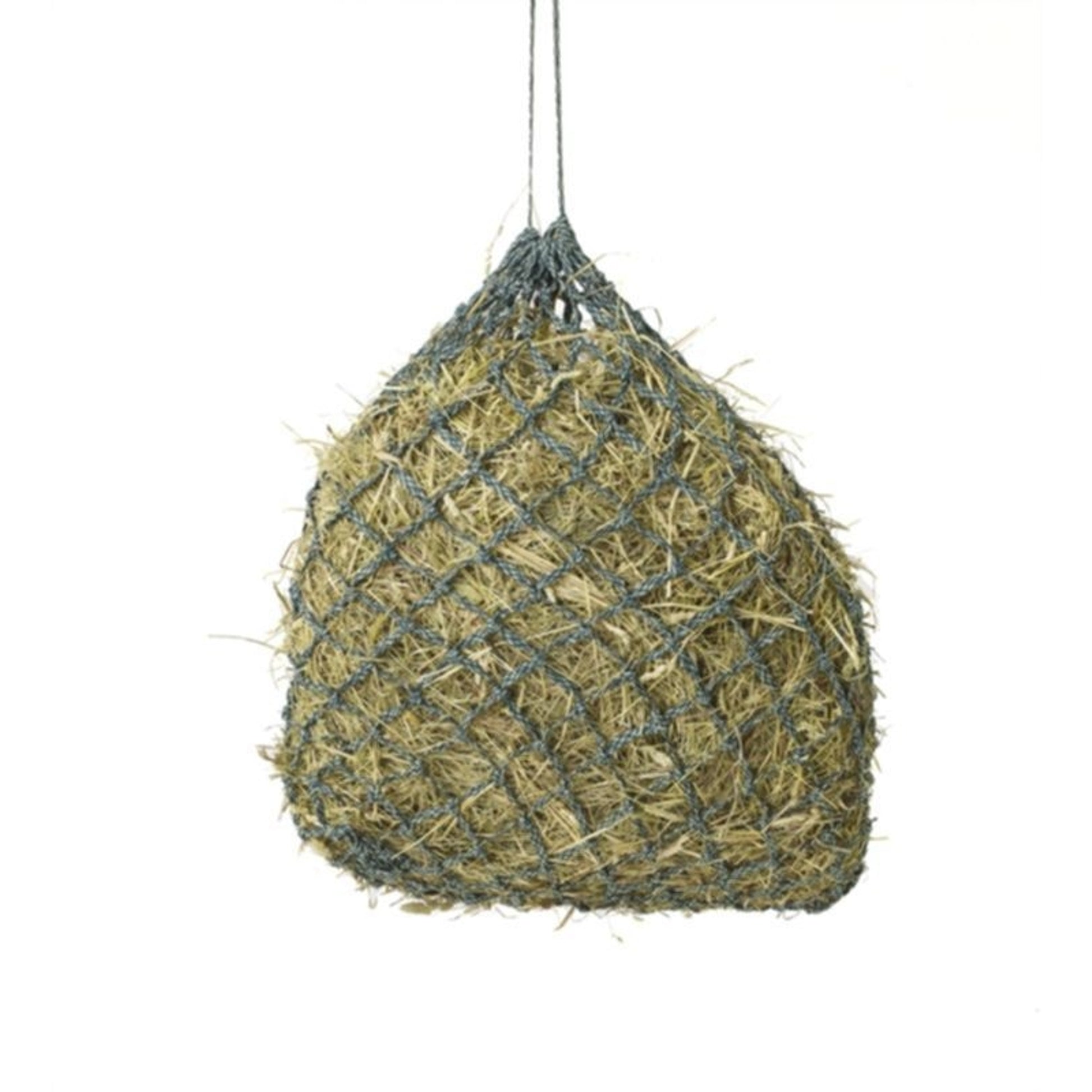 TH679647.jpg