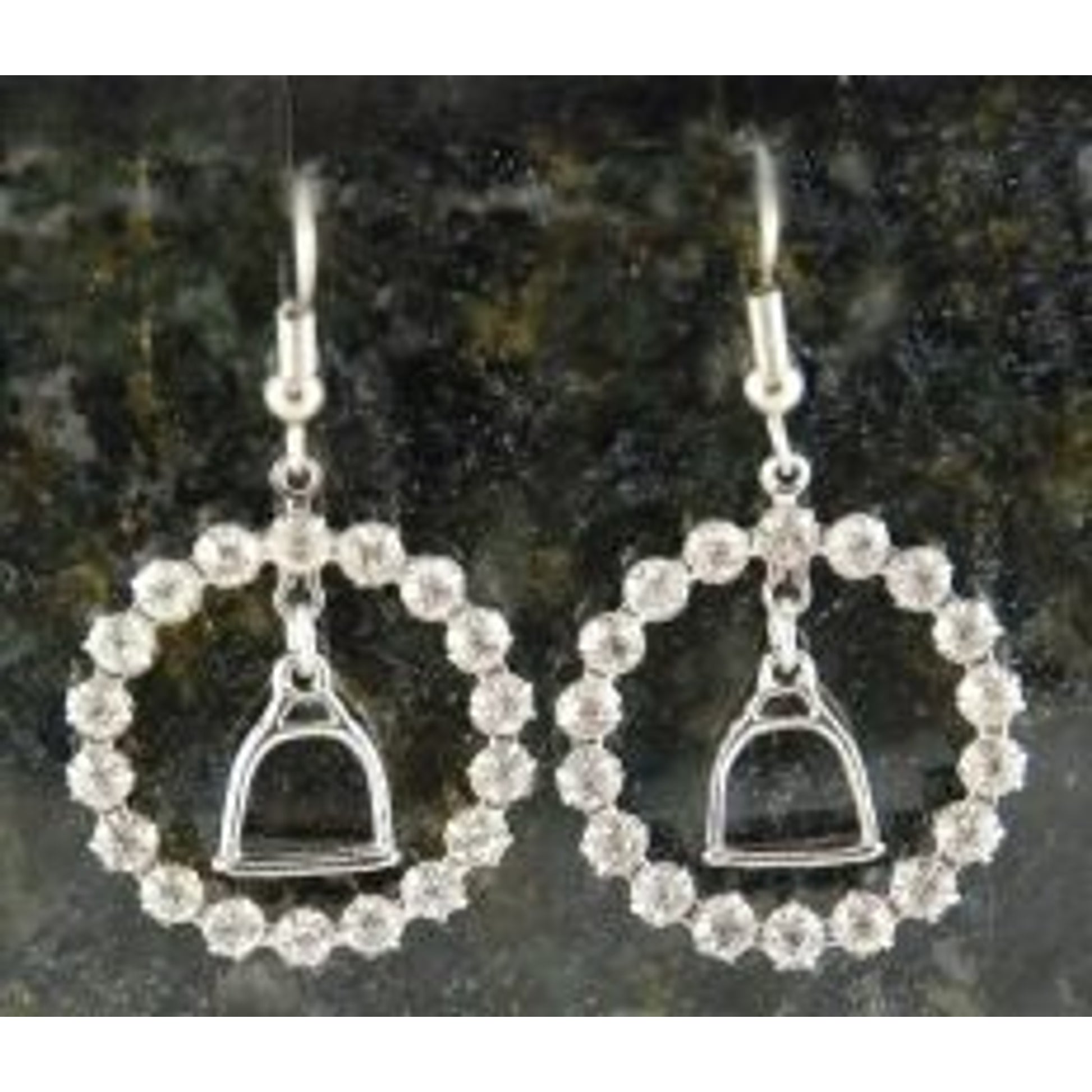 Crystal Ring Stirrup Fish Hook Earrings Silver