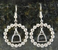 Crystal Ring Stirrup Fish Hook Earrings Silver