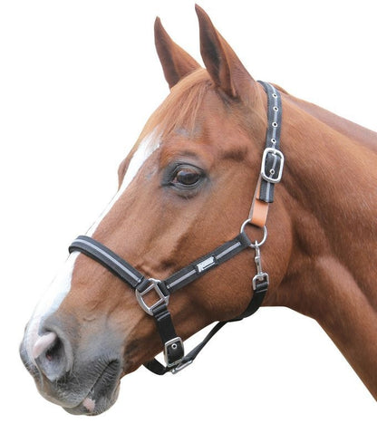 Roma Reflective Breakaway Halter