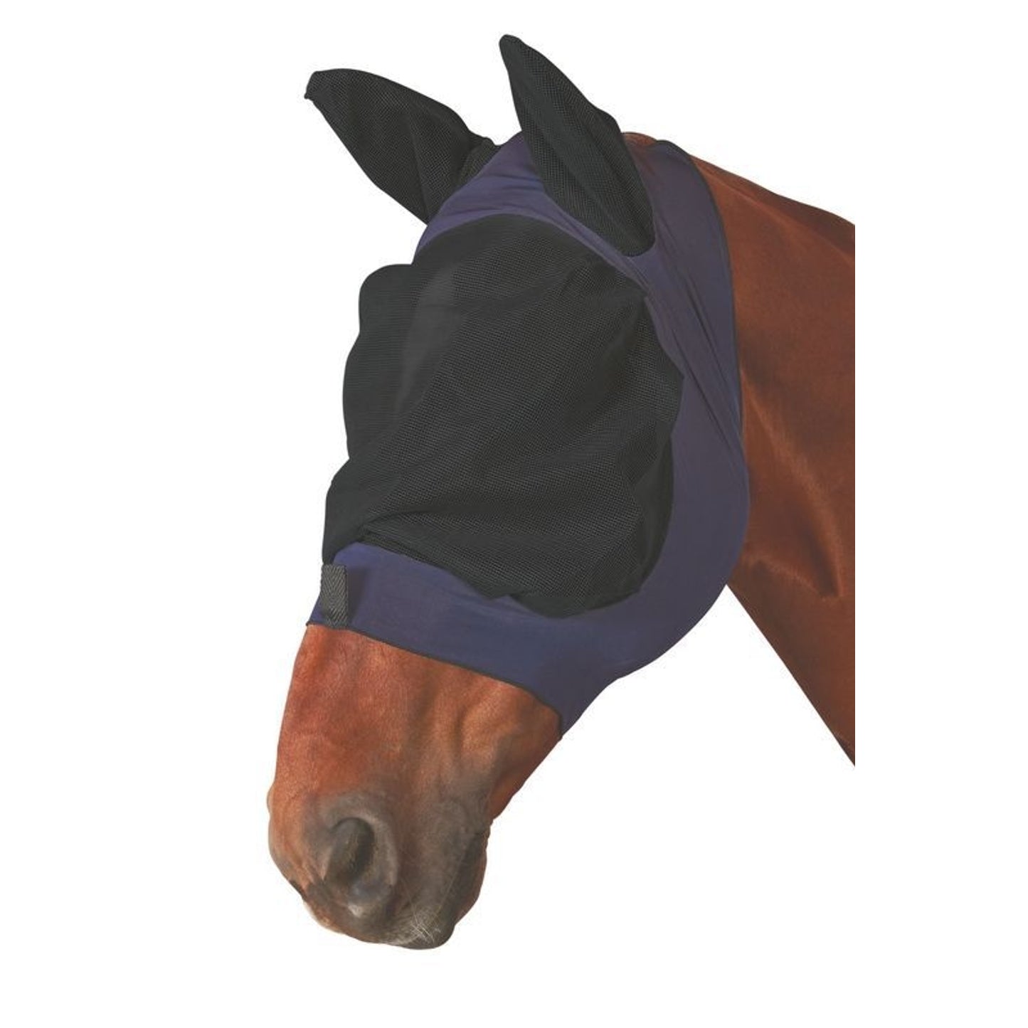 TH715872.jpg