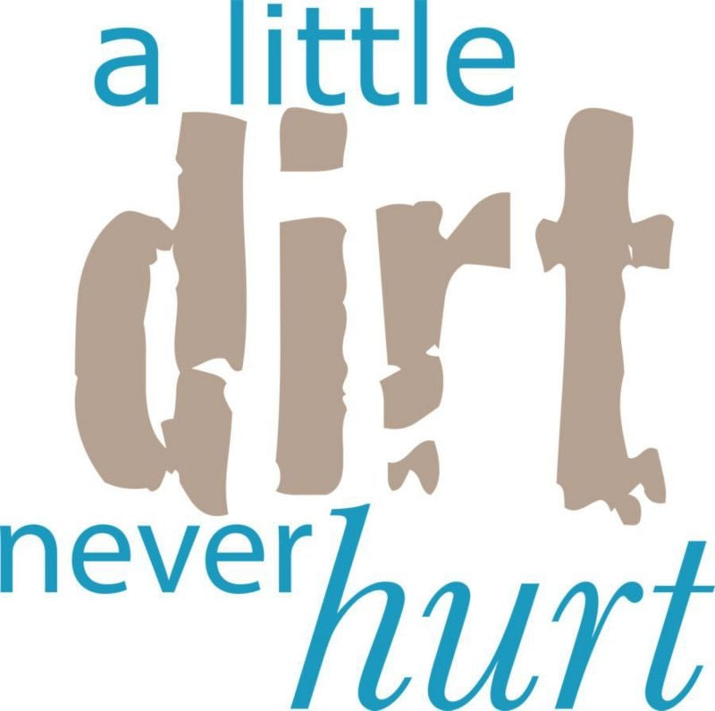 Sound Equine Ladies T-Shirt A Little Dirt