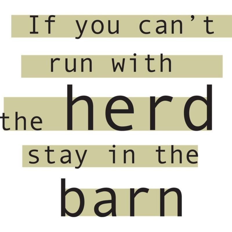 Sound Equine Ladies T-Shirt If You Cant Run
