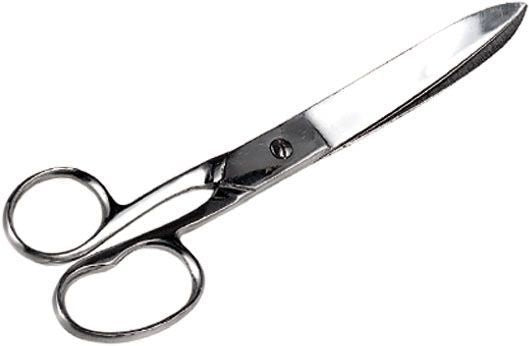 Trimming Scissors