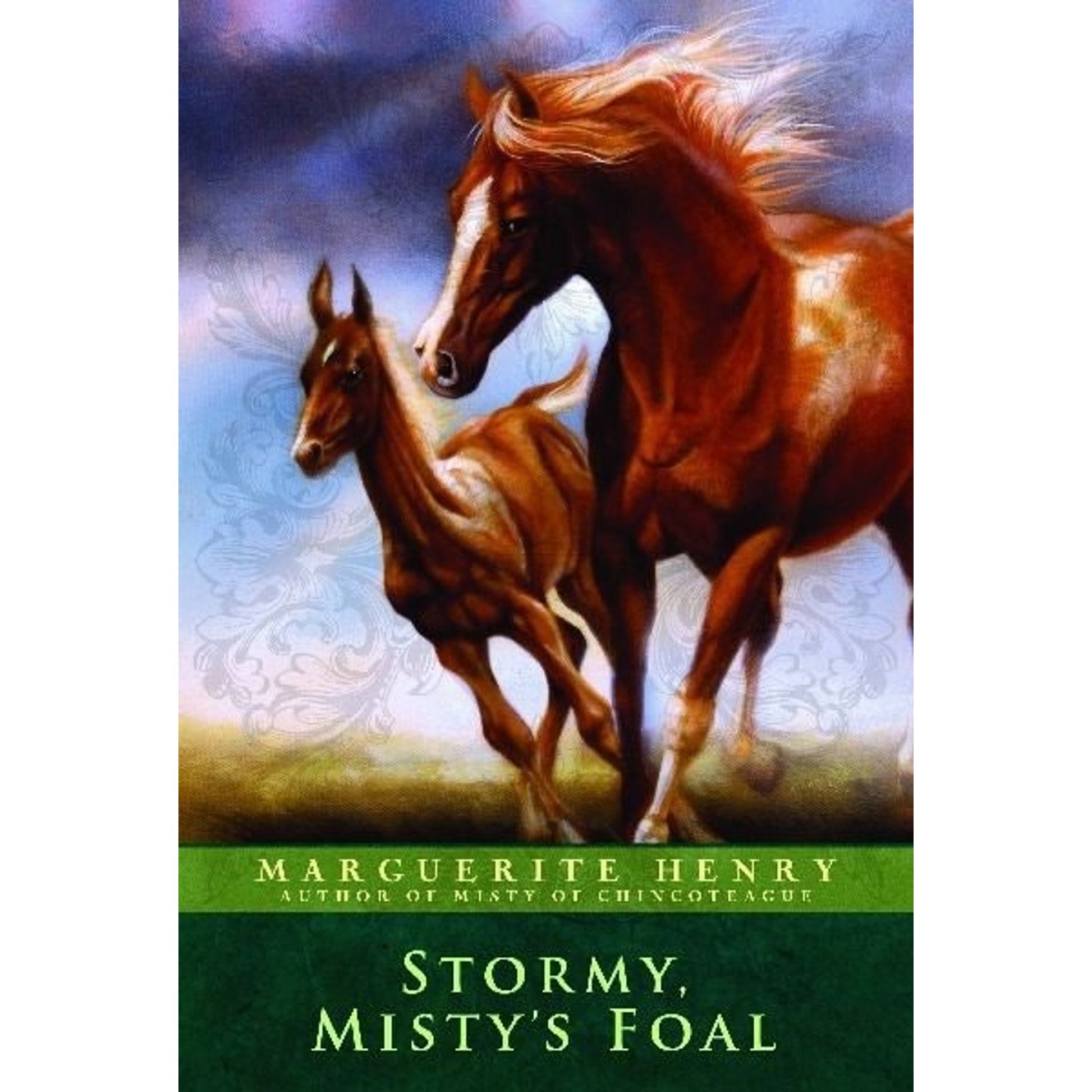 Stormy Mistys FoalBk/Wh