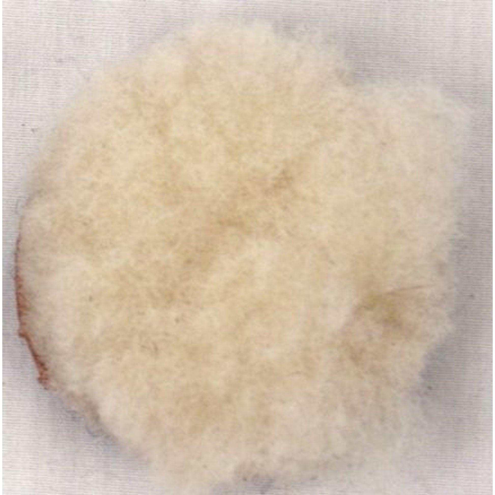 Nunn Finer Button/Hook/Loop for Fig 8 Noseband