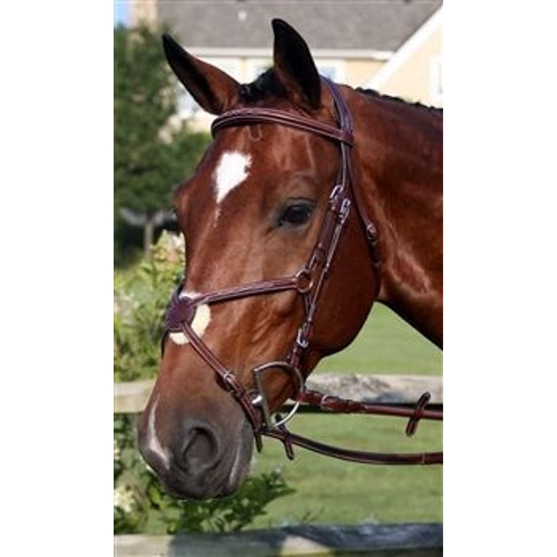 Nunn Finer Milano Bridle Cob